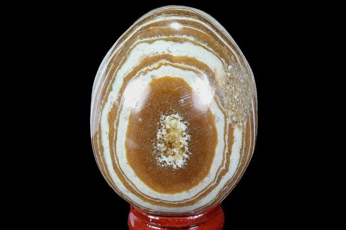 Polished, Banded Aragonite Egg - Morocco #98452